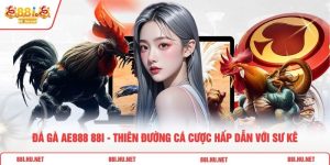 Đá Gà AE888 88i  - Thiên Đường Cá Cược Hấp Dẫn Với Sư Kê