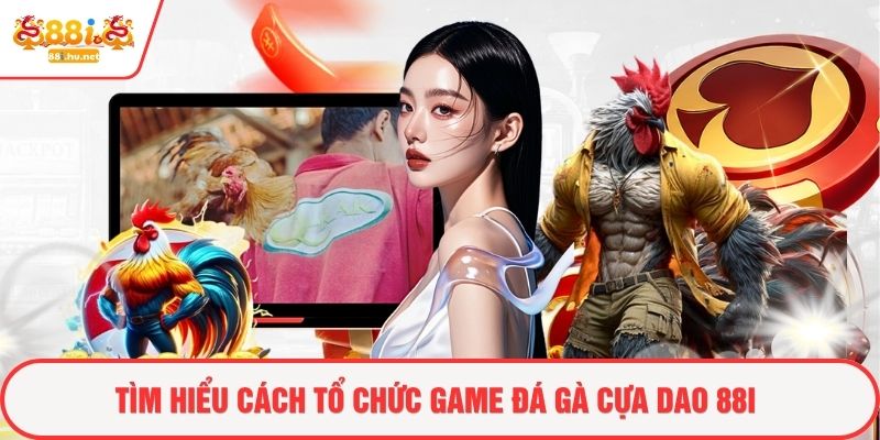 Tìm hiểu cách tổ chức game đá gà cựa dao 88i